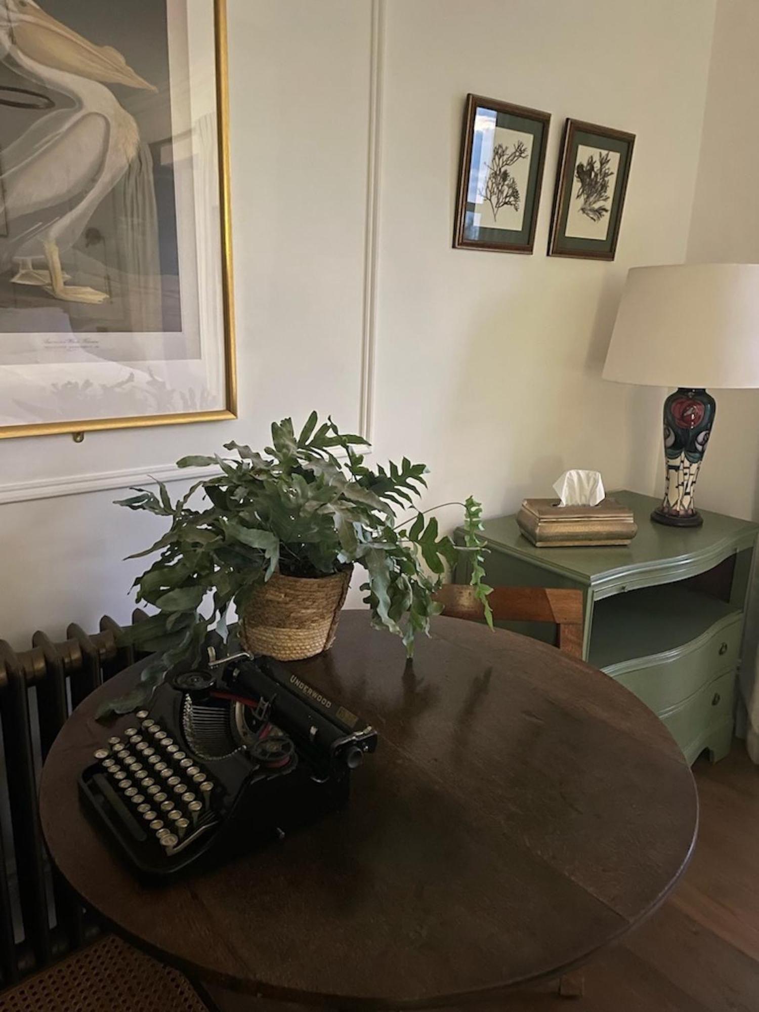 Headland View Boutique B&B Torquay Dış mekan fotoğraf