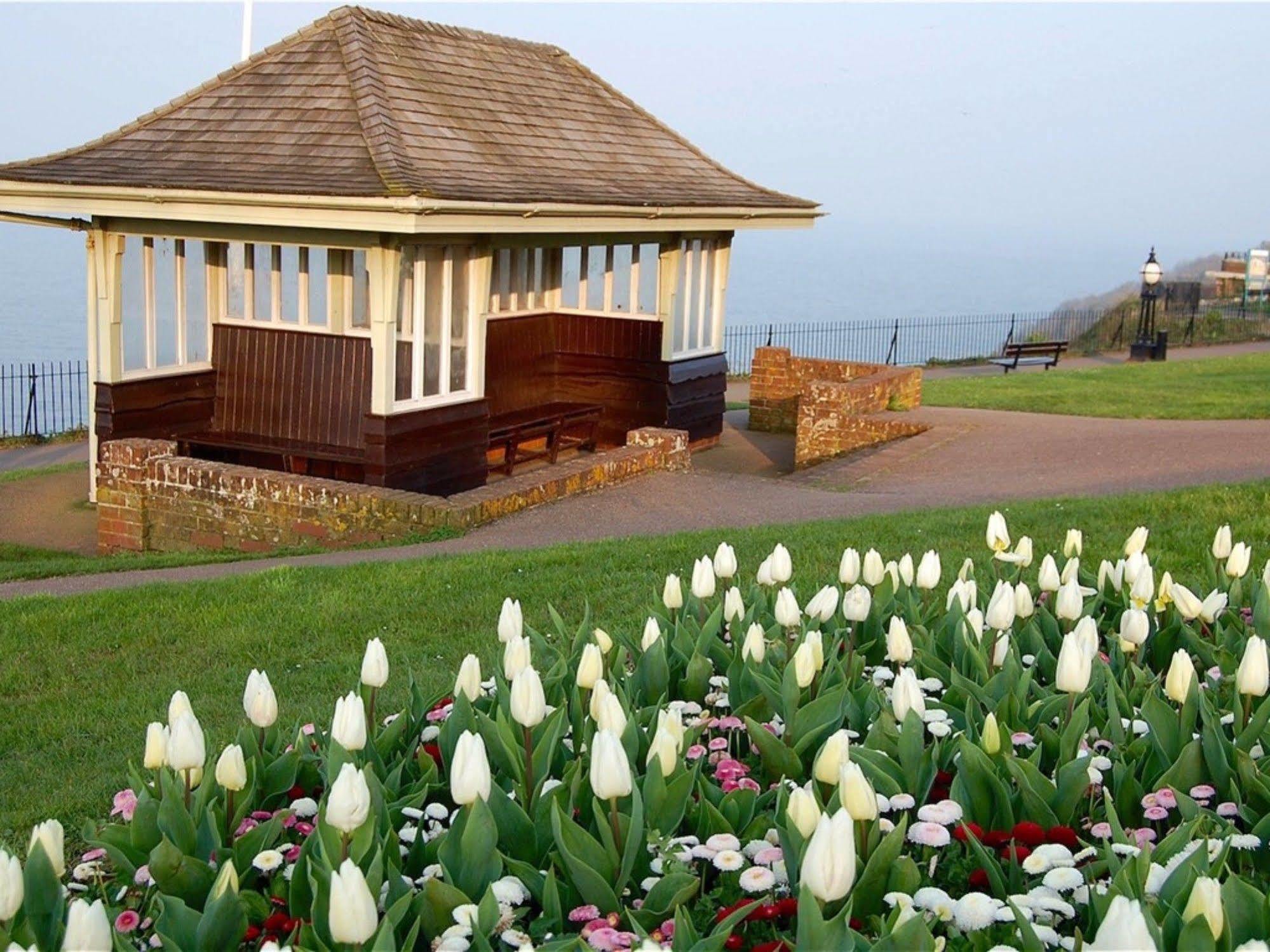 Headland View Boutique B&B Torquay Dış mekan fotoğraf